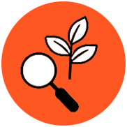 Magnifying glass and plant icon.